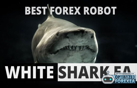 White Shark EA – Download ilimitado de versões